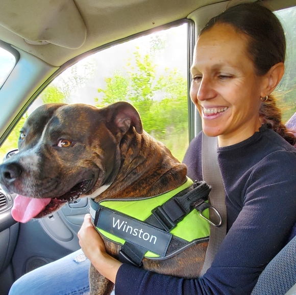 Meet your Posher, Robert - Picture 3 of 5